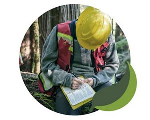 A worker records field notes among tall trees.