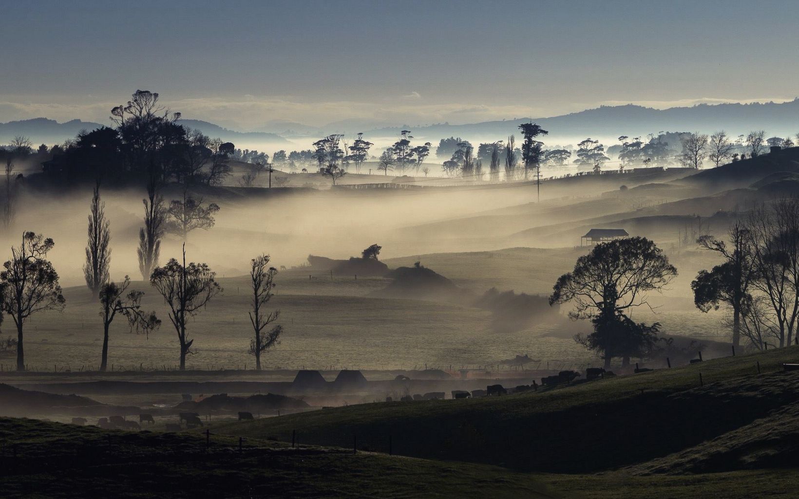 Early morning mist in the Waikato region of New Zealand.