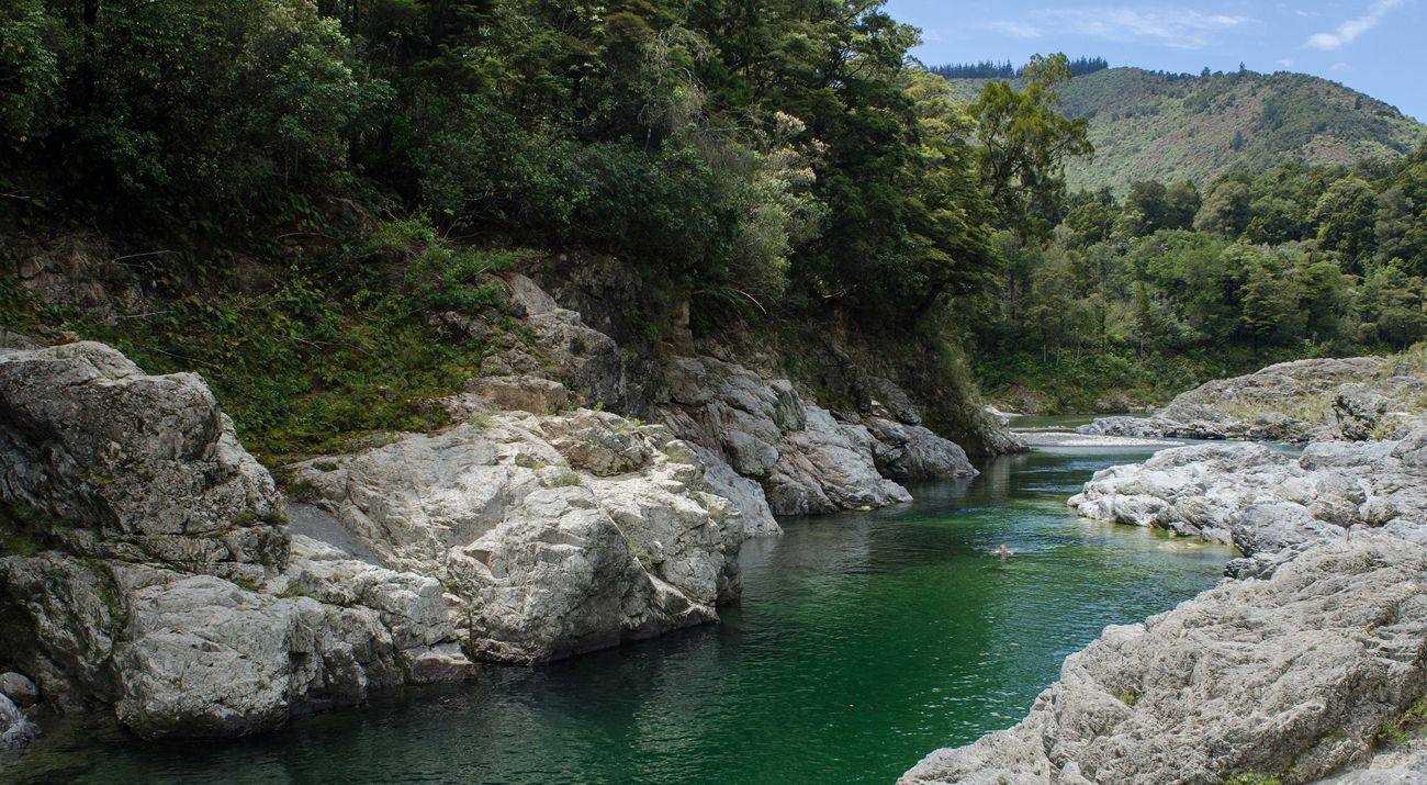 Pelorus River.