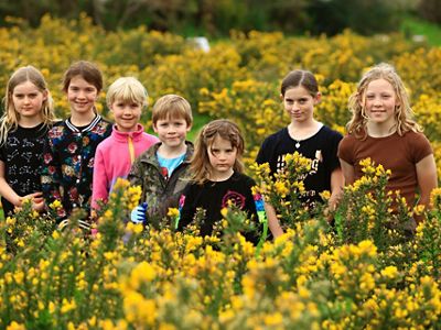 Seven young children stand in a field of yellow flowers.