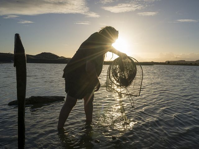 A person stands ankle-deep in water and lifts a fishing trap out of the water while the sun sets behind them.