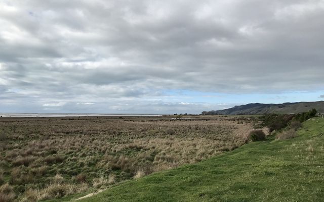 A large wetland extends from a green grassy area out to a body of water in the far distance.