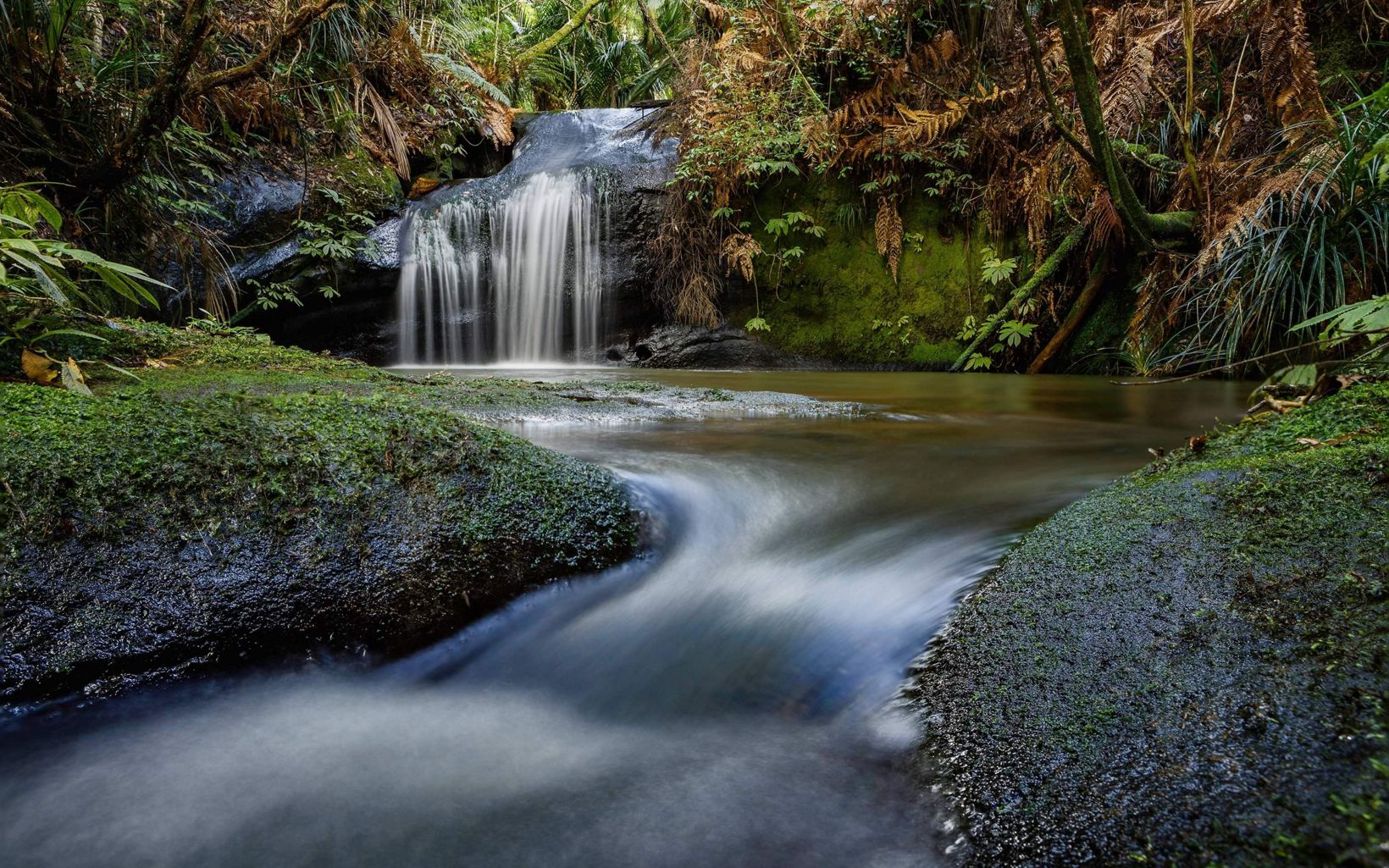 
                
                  New Zealand's freshwater ecosystems range from glaciers to lowland streams.
                  © Tammy Lee/TNC Photo Contest 2021
                
              