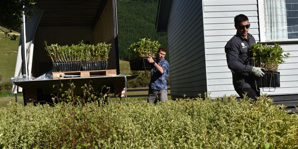 Two men offloading saplings off a truck.