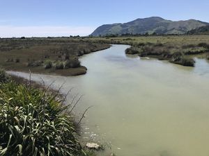 Landscape view of a large body of water and a wetland with mountains in the background.