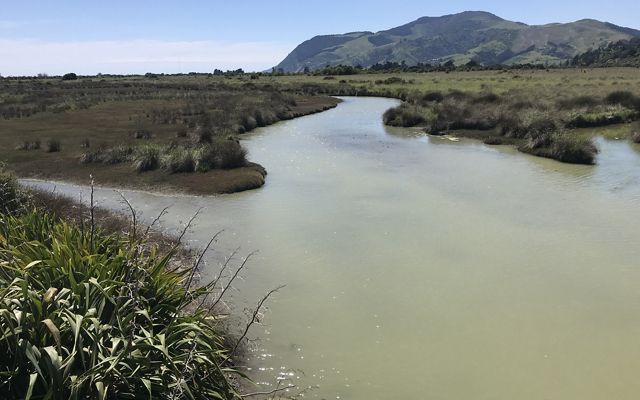 Assessing a blue carbon site in Nelson, New Zealand.