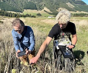 Controlling invasive wasps in South Island.