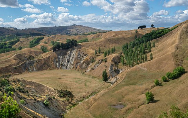Hawke's Bay is affected from steep erosion.