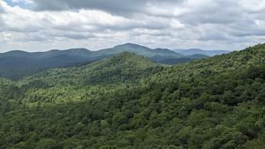 A landscape view of the Southern Appalachians Forest.