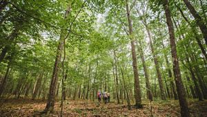 TNC helps establish a new National Wildlife Refuge in Tennessee.