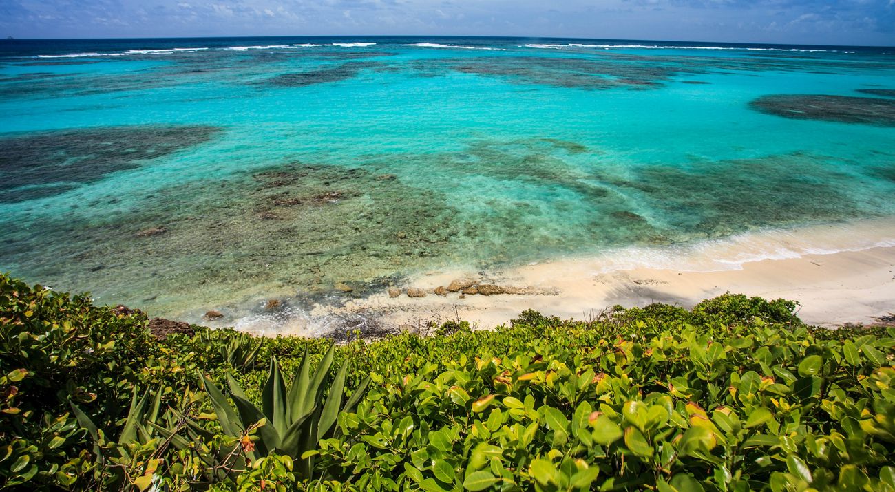 The Coastline along an island in St. Vincent and the Grenadines.