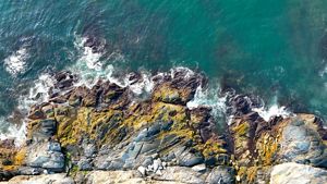 Aerial photo looking straight down at small white waves crashing on a rocky shoreline partly covered with orange and green algae.