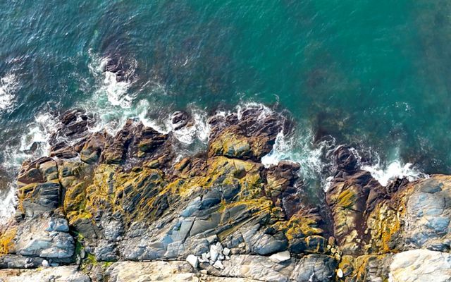 Aerial photo looking straight down at small white waves crashing on a rocky shoreline partly covered with orange and green algae.