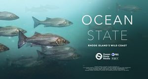 A movie poster features a school of striped bass swimming left to right with the words Ocean State in white text to the right of the fish against a dark green backdrop.