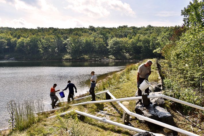 Three people stand in a line near a body of water passing buckets filled with water up the line to a fourth person who is emptying the buckets into a piping system.