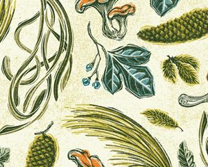 A collage of illustrations highlighting ingredients from Virginia's four priority landscapes of the Allegheny Highlands, VVCR Barrier Islands, Clinch Valley and Southern Pinelands.