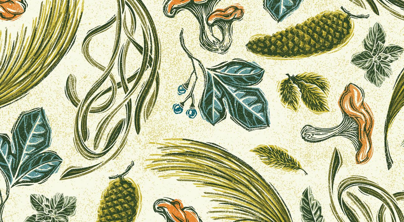 A collage of illustrations highlighting ingredients from Virginia's four priority landscapes of the Allegheny Highlands, VVCR Barrier Islands, Clinch Valley and Southern Pinelands.