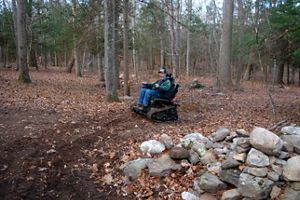 A person uses a wheelchair to explore a forest.