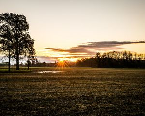 Sunrise over no-till farm field.
