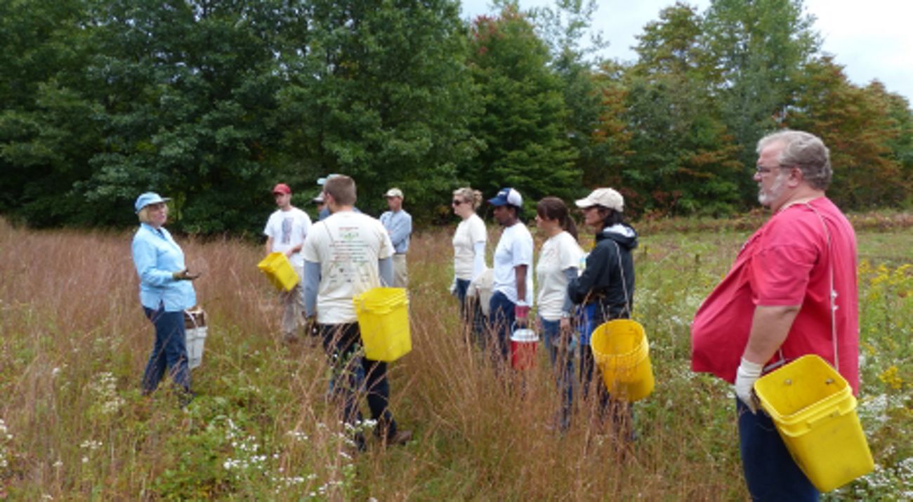 A group of people standing in a field with seed collection buckets.