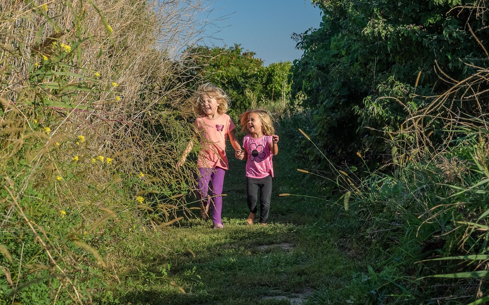 Two children running on a path surrounded by tall grasses.