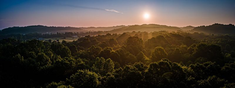 Sun rays crest over forest.