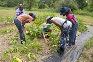 Agraria Center Regenerative Farming Fellows in farm field.