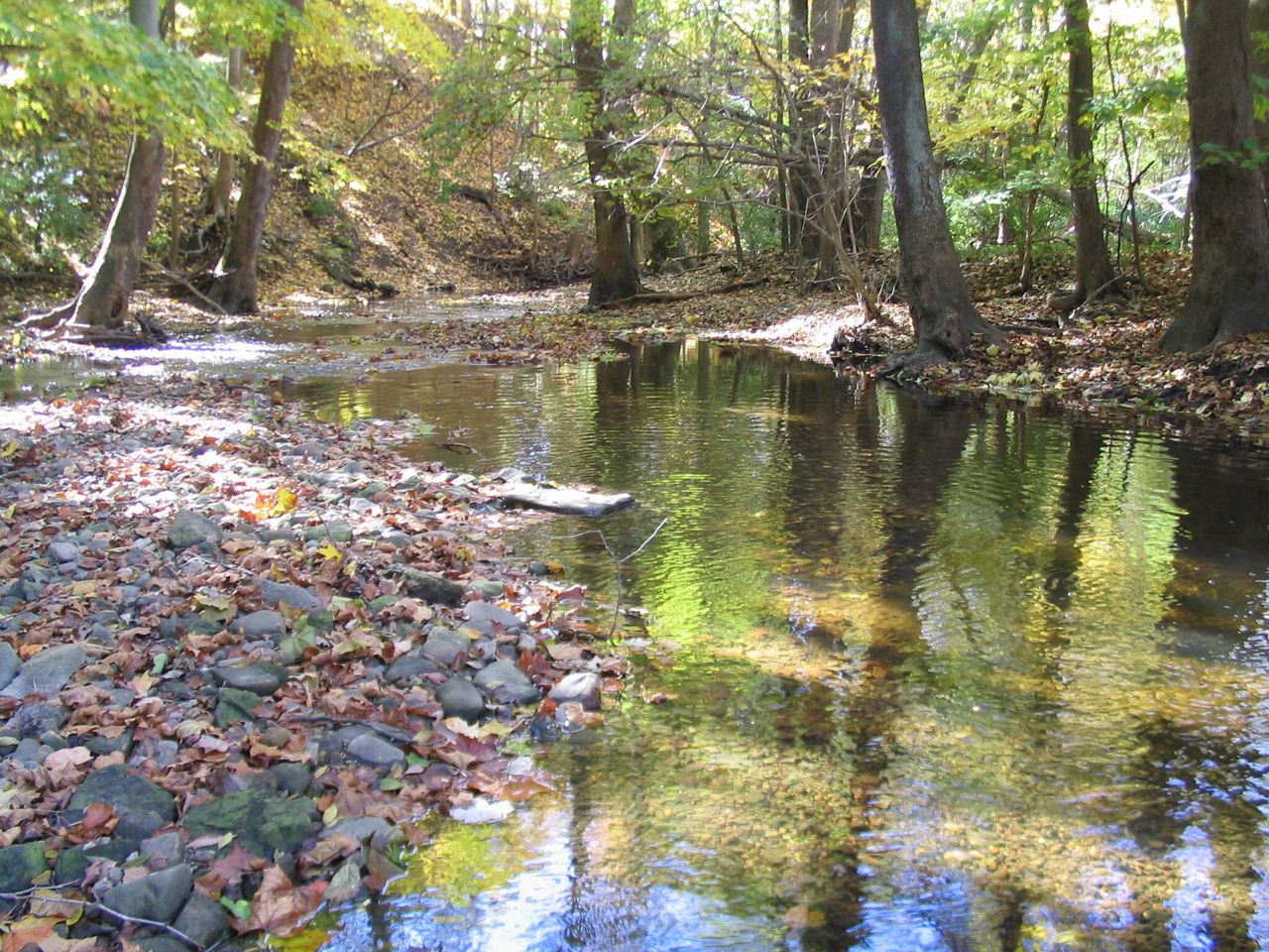 Big Darby Creek Headwaters Preserve The Nature Conservancy