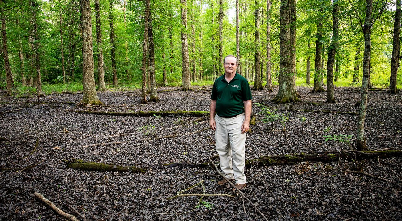 David Funk stands in open understory of his forest surrounded by trees.