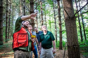 Four men look upward into tree canopy while standing in forested landscape.