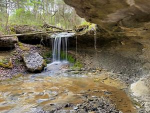 Water cascades over rocks in forest at Edge of Appalachia Preserve.