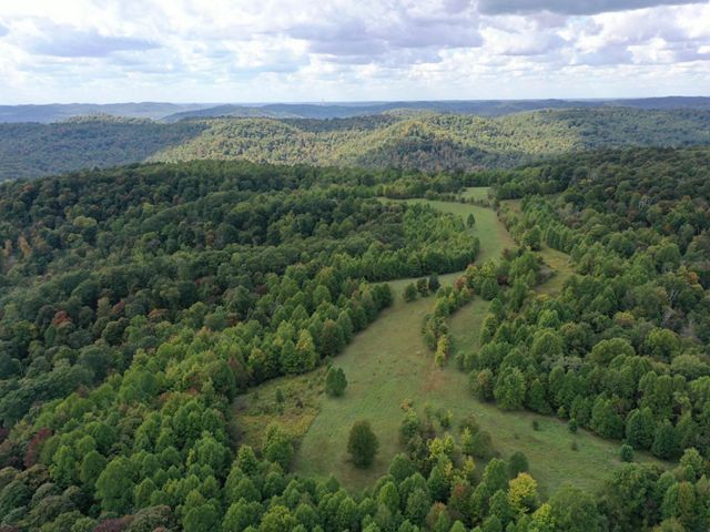 An aerial view of the Edge of Appalachia Forest, a dense green forest with a swath of treeless ground running through it.