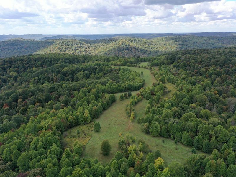 An aerial photo of a green forest on a river's edge.