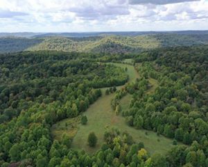 Aerial photo of forests at Edge of Appalachia Preserve.