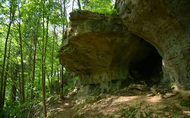 Cave habitat at the Edge of Appalachia Preserve.