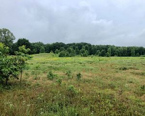 Prairie habitat at Kitty Todd Nature Preserve's Salamander Flats.