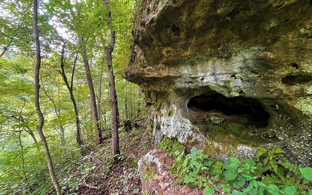 Rocky outcropping at TNC's Edge of Appalachia Preserve.