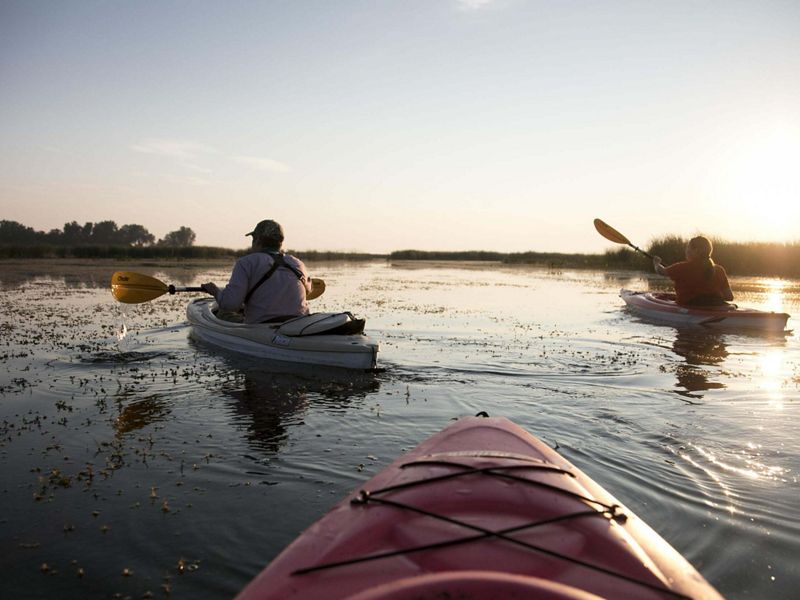 Three people in canoes paddle along the Lake Erie shoreline at sunset.