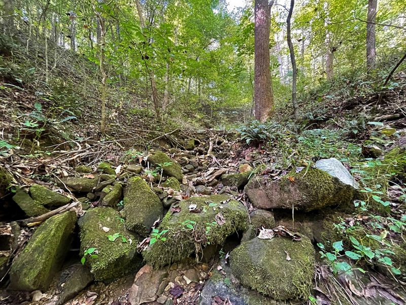 Rocky landscape is surrounded by forest at Edge of Appalachia Preserve.