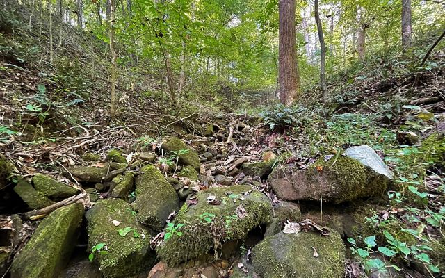 Rocky landscape is surrounded by lush green forest at Edge of Appalachia Preserve.