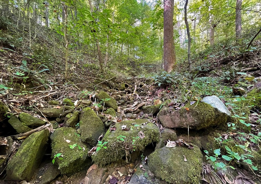 Rocky landscape is surrounded by forest at Edge of Appalachia Preserve.