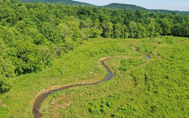Aerial view of re-meandered Strait Creek with forest in background after crews restored the stream bed.