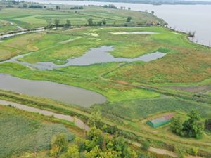 An aerial view of the wetlands within the Pickerel Creek Wildlife Area in Sandusky Bay. 