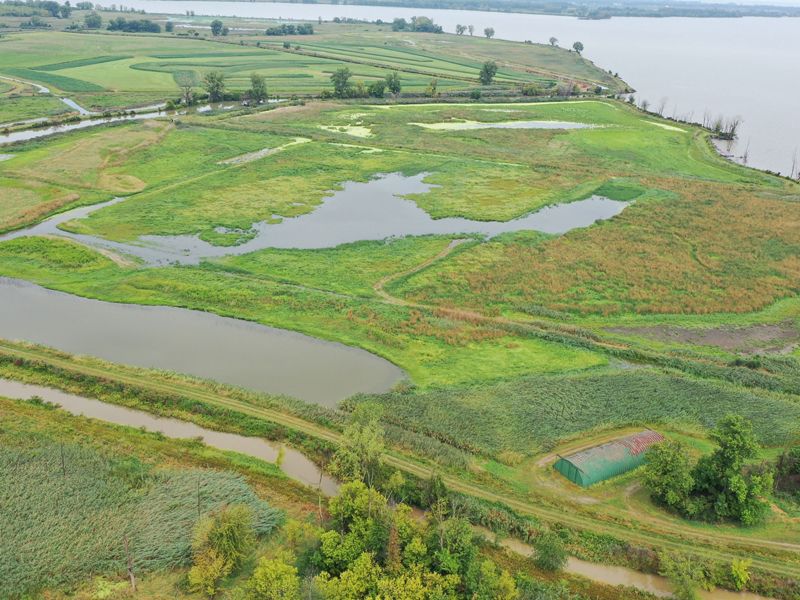 An aerial view of the wetlands of Pickerel Creek Wildlife Area next to the shoreline of Sandusky Bay.