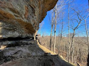 A Peebles dolomite rock outcropping extends into the forest at Edge of Appalachia Preserve.