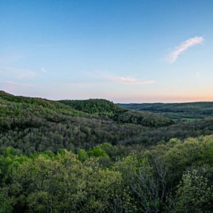 View of forest at Edge of Appalachia.