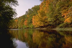 A still river between trees with autumn leaves. 