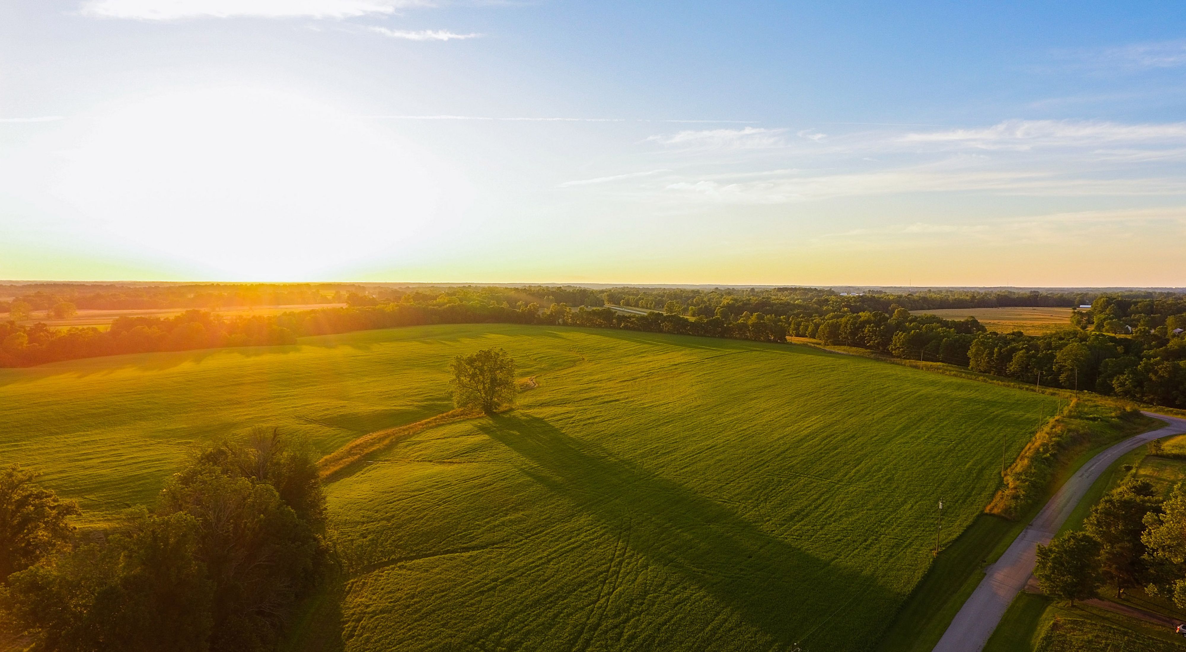 Aerial view of sunrise at farm.