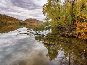 Looking downstream of the calm waters of the Ohio River, trees lining the banks and overhanging the river with fall foliage.