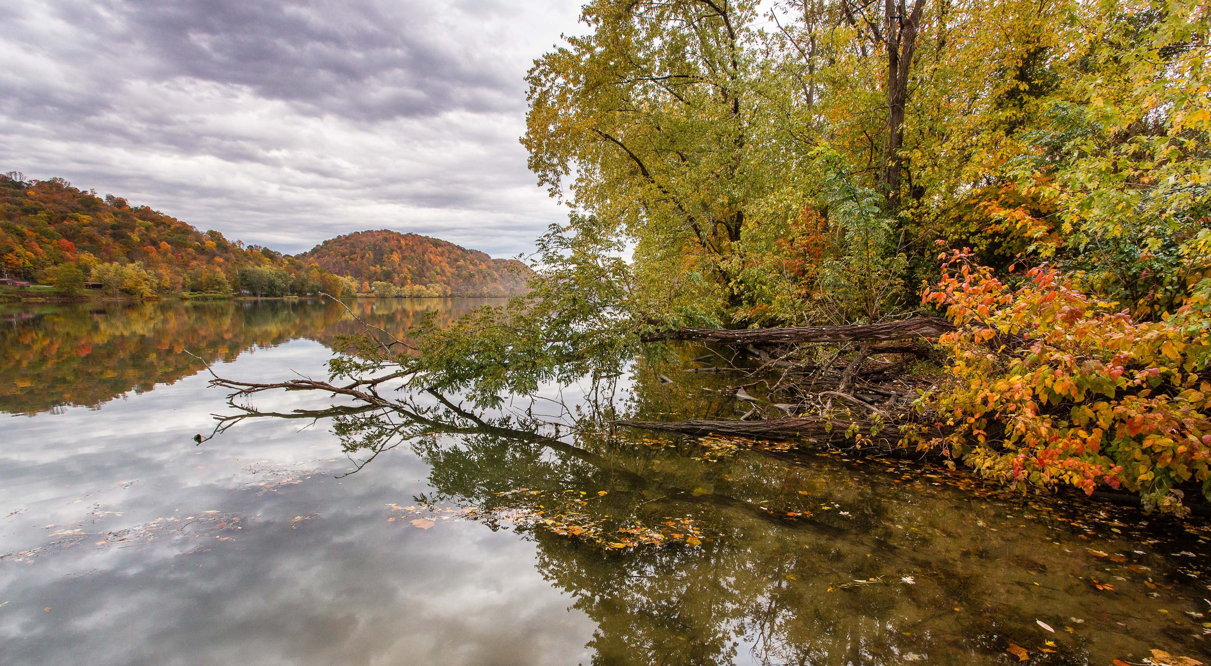 Looking downstream at calm waters of the Ohio River, trees overhanging the water with red, orange, yellow and green fall foliage.